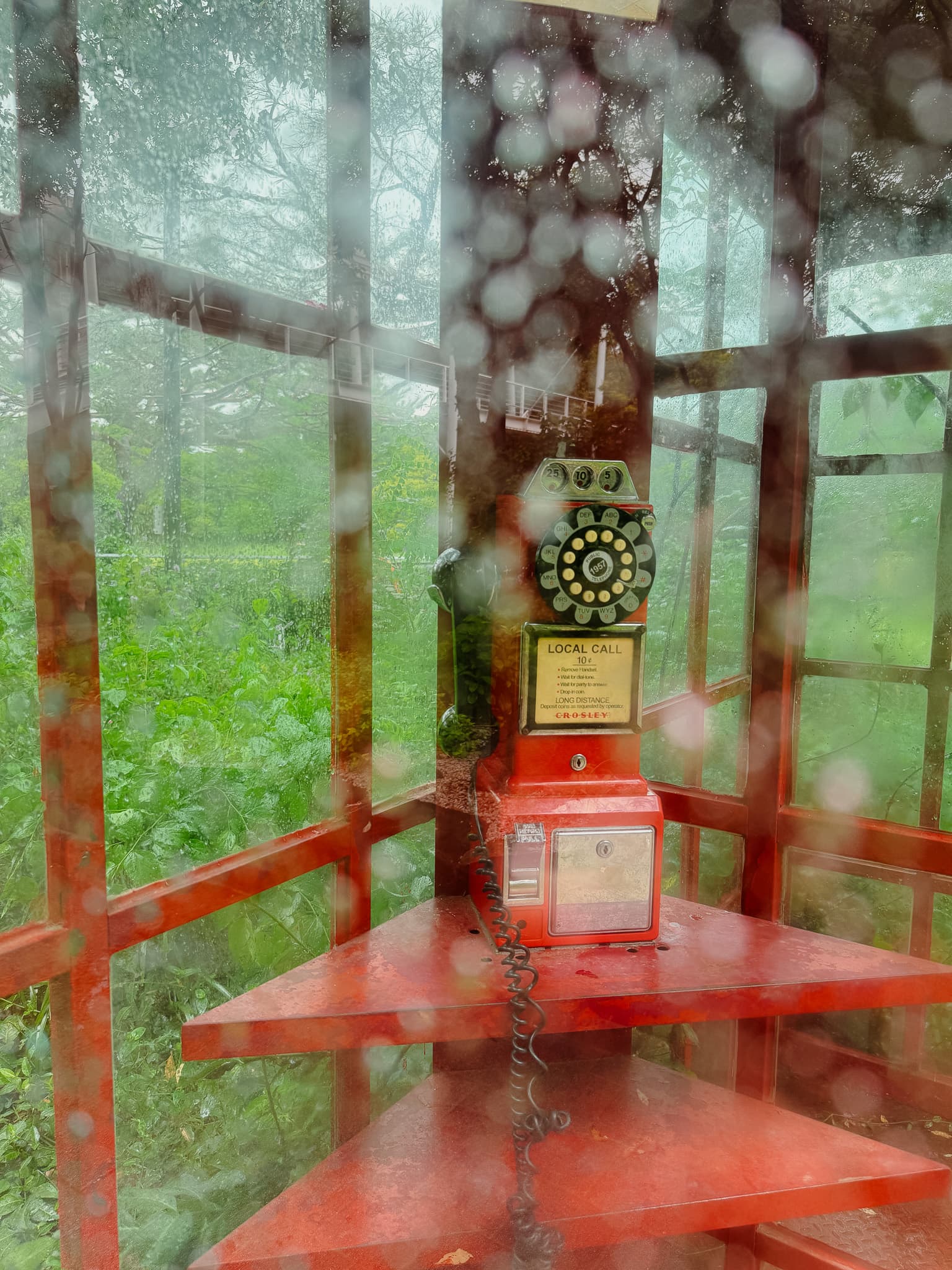 Vintage rotary phone in a red booth surrounded by greenery, viewed through raindrop-covered glass.