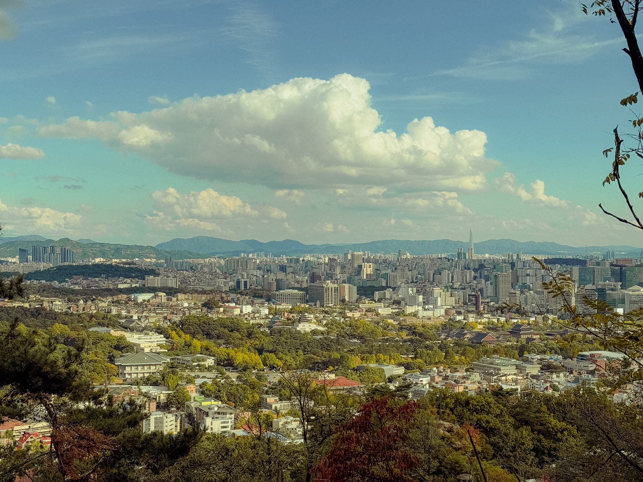 Cityscape with sprawling buildings, lush greenery, and a towering skyscraper under a vast sky with scattered clouds.