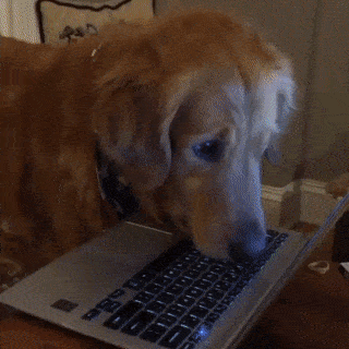 i don't know what i'm doing